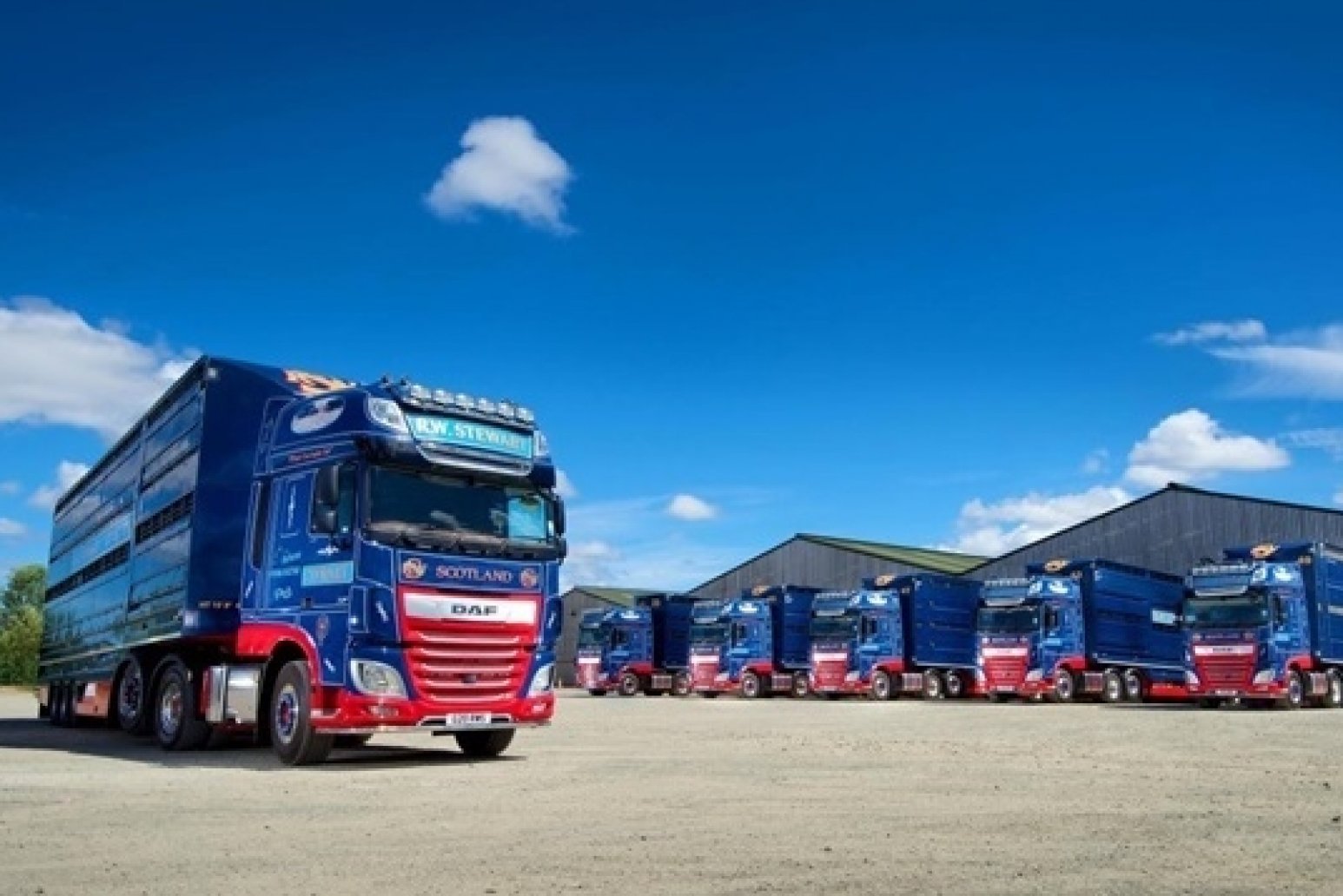 Leading livestock haulier refreshes fleet with DAF New XF tractors
